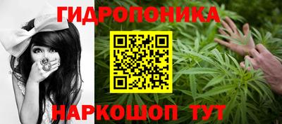 прущие грибы Донецк