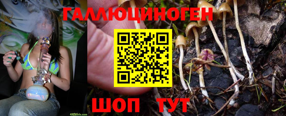 Людиново  Псилоцибиновые грибы прущие грибы  Вход с VPN 
